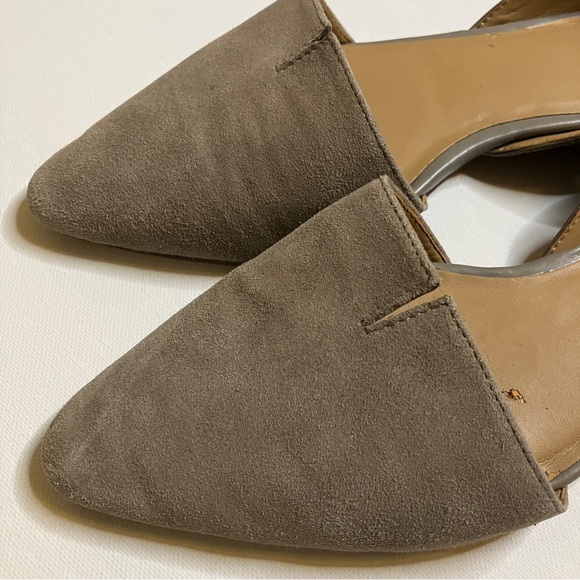 Franco Sarto Sashi Flat taupe grey suede - Picture 6 of 13